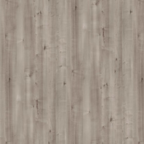 Grey Birch