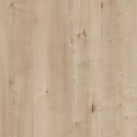 Brown Birch