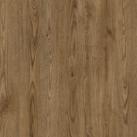 Australia Chestnut