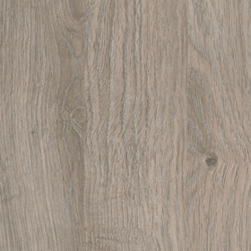 Divine Oak