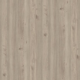 Gleam Oak