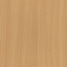 Bavarian Beech 