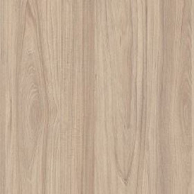 Soft Swiss Elm