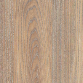 Twilight Oak