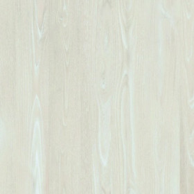 Asia Chestnut