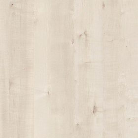 White Birch
