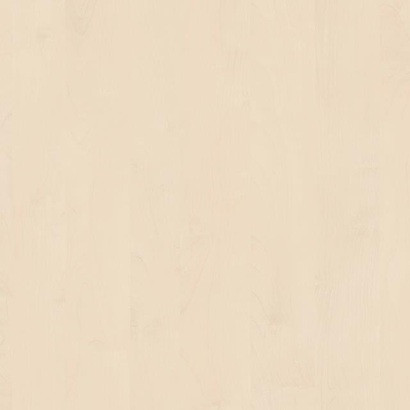 Light Birch