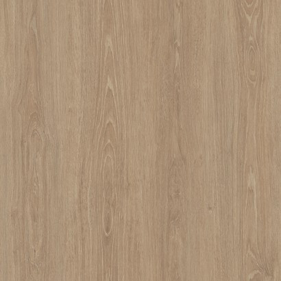 Hut Oak