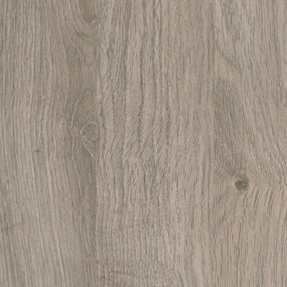 Divine Oak