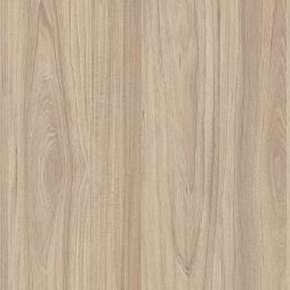 Soft Swiss Elm