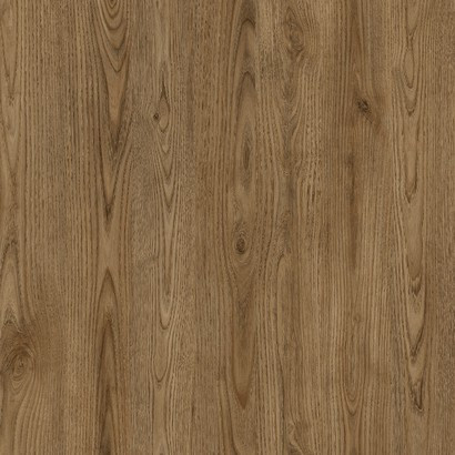 Australia Chestnut