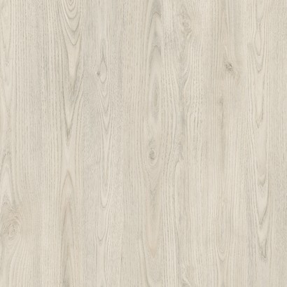 America Chestnut 