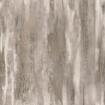 Iceland Oak