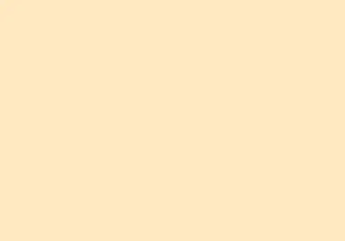 Sandal colors store