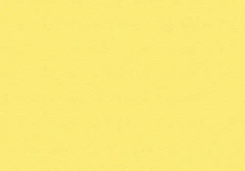 Sunflower Yellow