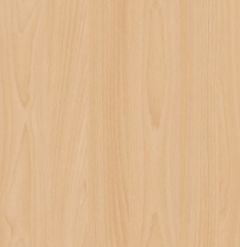 Red Beech