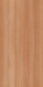 Salzach Beech