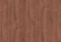 Arbol Oak