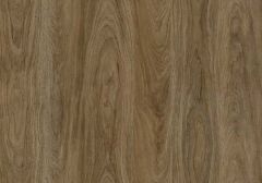 Spring Hickory