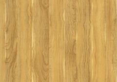 Curley Maple