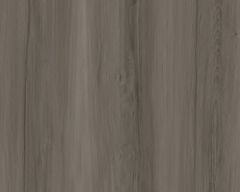 Okaraa Grey Streak
