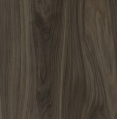 Cask Brown Wood