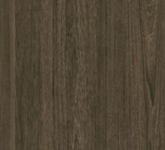 Swiss Elm