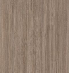 Begonia Wood
