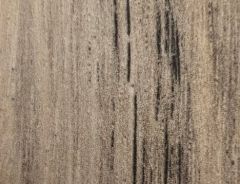 Imperial Oak