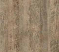 Laramine Pine