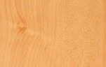 Mountain Maple