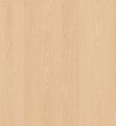 Alberta Maple