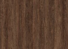 Canyon Coastal Olive
