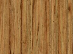 Dark Wood