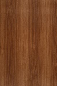 Welsh Oak