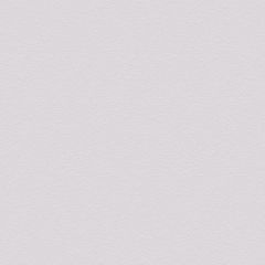 Dove Grey Velur
