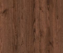 Europe Chestnut 