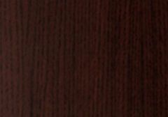 Cork Oak - Shining Oak 