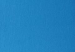 Blue Brush