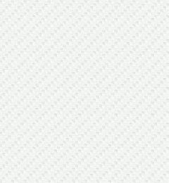 Fiberglass
