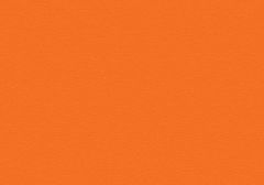 Florida Orange
