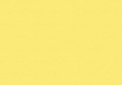 Sunflower Yellow