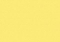Sunflower Yellow